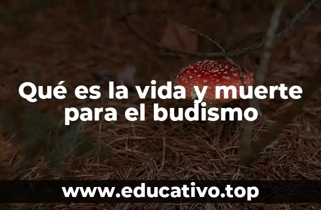 Qué es la vida y muerte para el budismo
