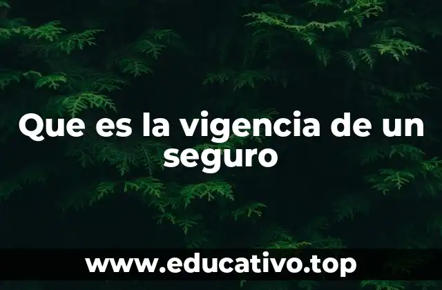 Que es la vigencia de un seguro