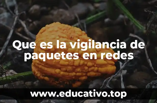 Que es la vigilancia de paquetes en redes