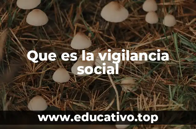 Que es la vigilancia social