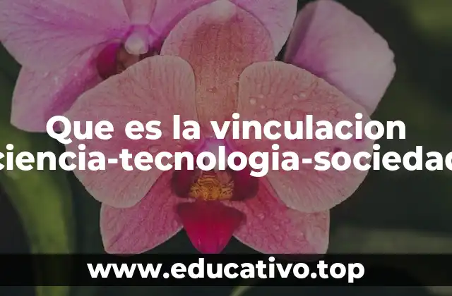 Que es la vinculacion ciencia-tecnologia-sociedad