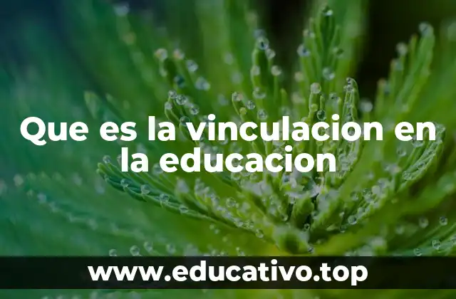 Que es la vinculacion en la educacion