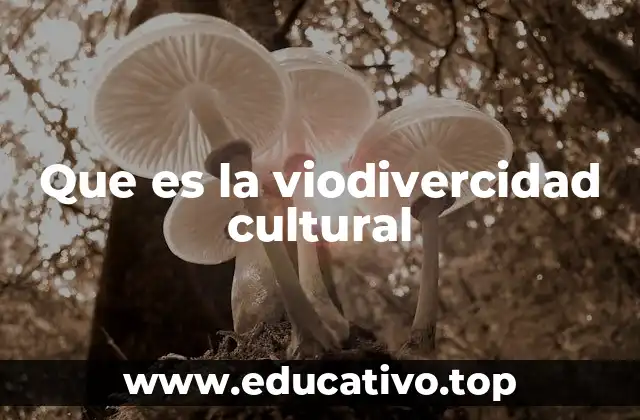 La importancia de la viocultura en la preservación cultural