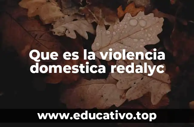 Que es la violencia domestica redalyc