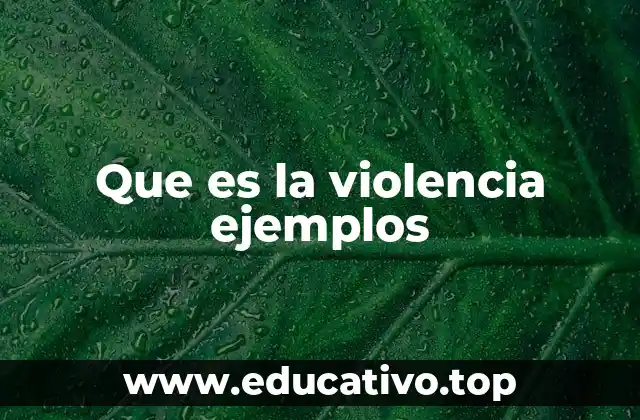 Que es la violencia ejemplos