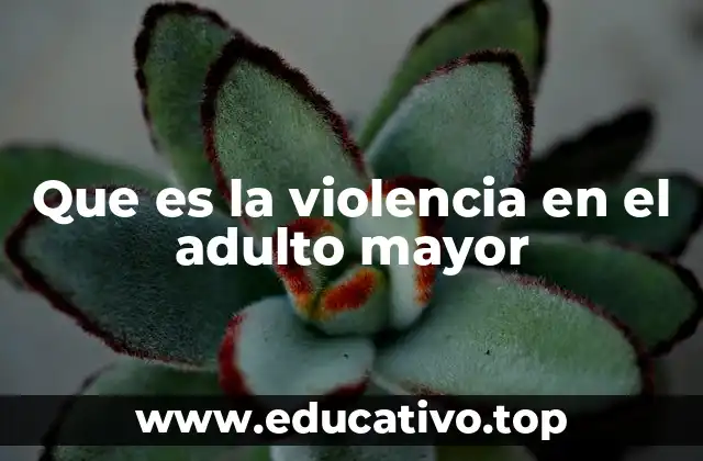 Que es la violencia en el adulto mayor