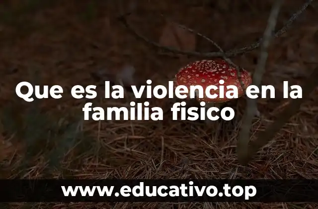 Que es la violencia en la familia fisico