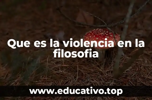 Que es la violencia en la filosofia
