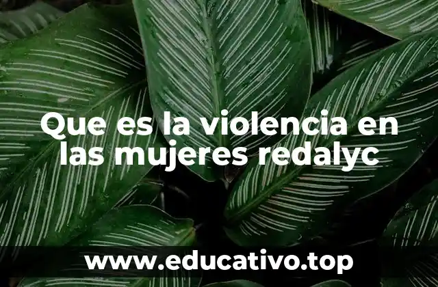 Que es la violencia en las mujeres redalyc