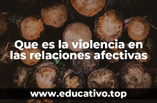 Que es la violencia en las relaciones afectivas