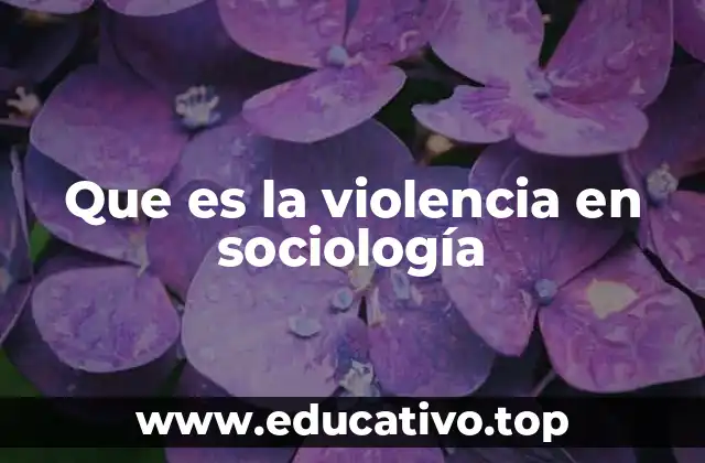 Que es la violencia en sociología