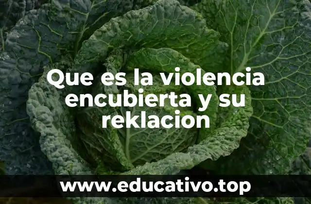 Que es la violencia encubierta y su reklacion