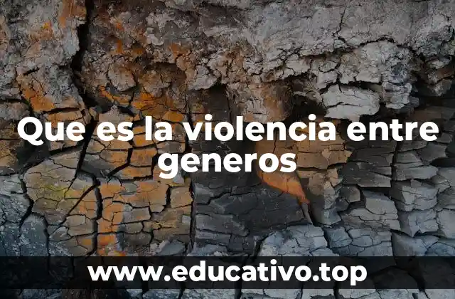 Que es la violencia entre generos