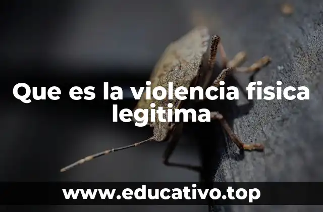 Que es la violencia fisica legitima