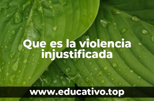 Que es la violencia injustificada
