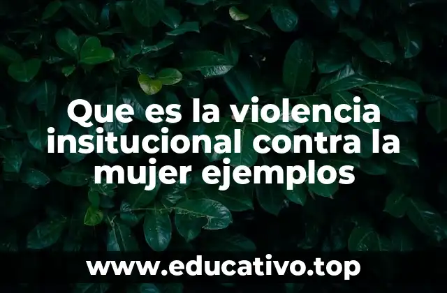 Que es la violencia insitucional contra la mujer ejemplos