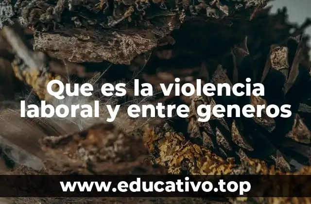 Que es la violencia laboral y entre generos