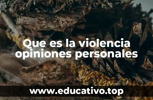 Que es la violencia opiniones personales