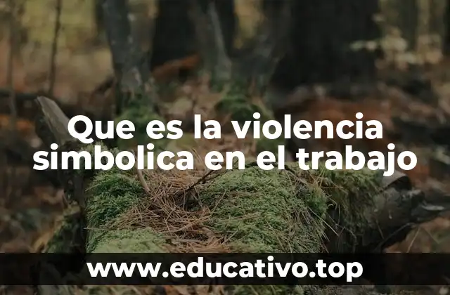 Que es la violencia simbolica en el trabajo