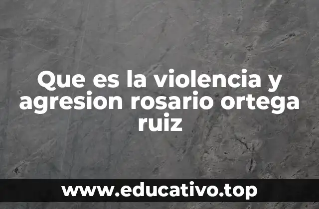 Que es la violencia y agresion rosario ortega ruiz