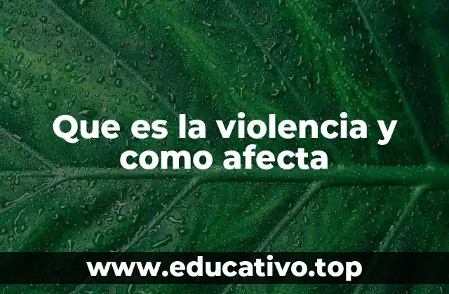 Que es la violencia y como afecta