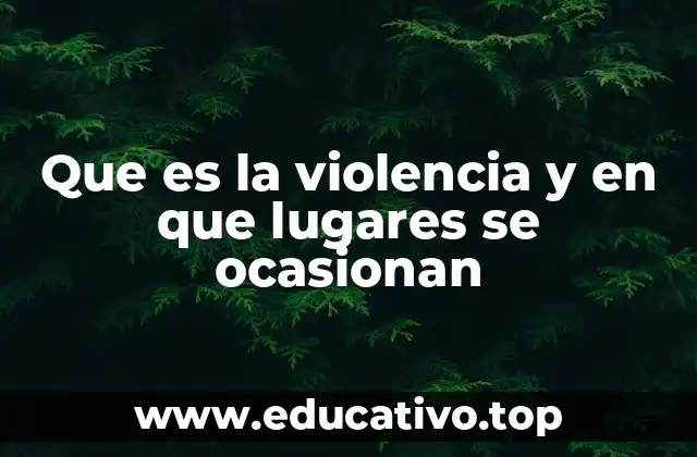 Que es la violencia y en que lugares se ocasionan