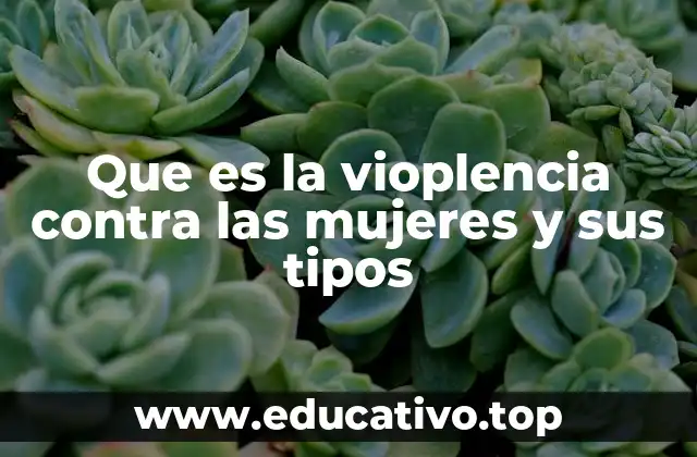 Que es la vioplencia contra las mujeres y sus tipos