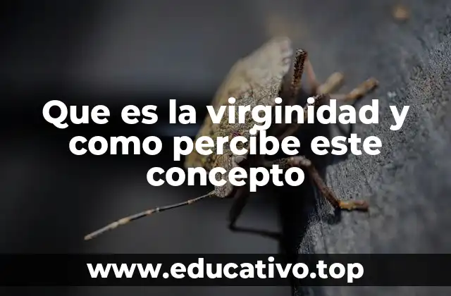 Que es la virginidad y como percibe este concepto