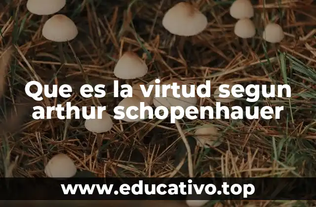 Que es la virtud segun arthur schopenhauer