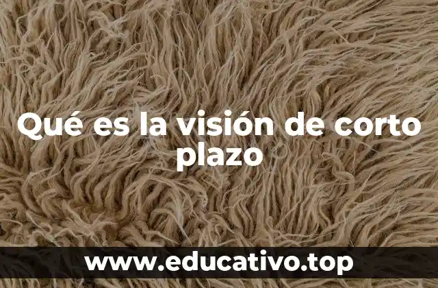 Qué es la visión de corto plazo