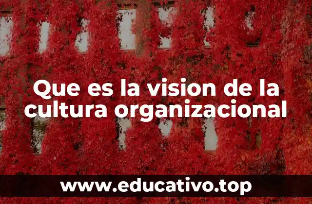 Que es la vision de la cultura organizacional