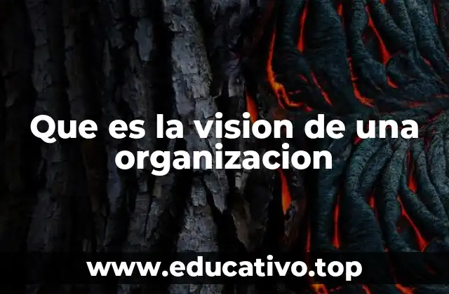 Que es la vision de una organizacion