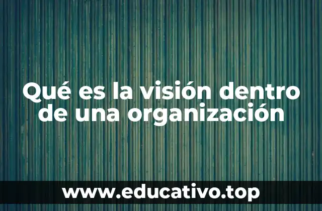 Qué es la visión dentro de una organización