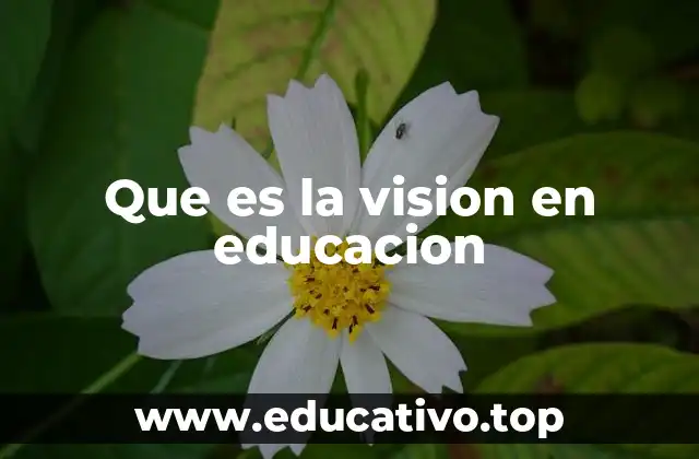 Que es la vision en educacion