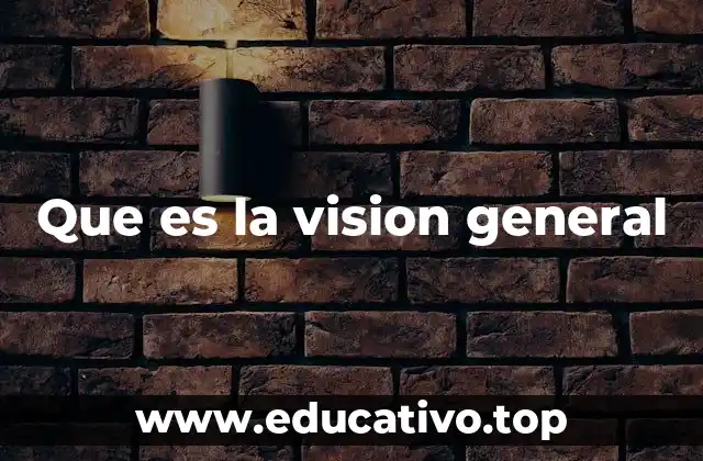 Que es la vision general
