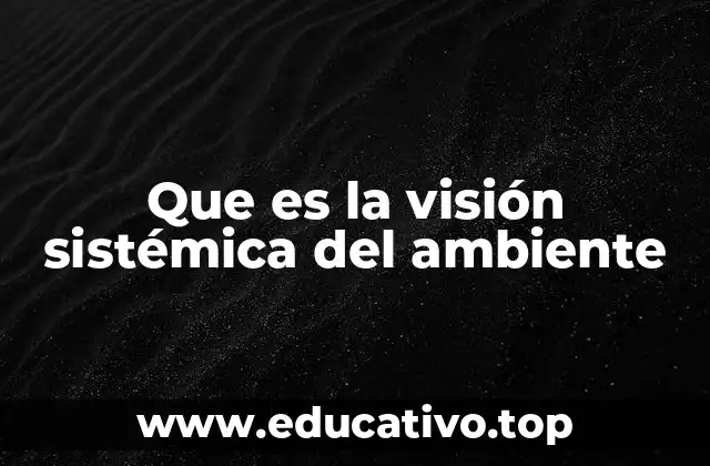 Que es la visión sistémica del ambiente