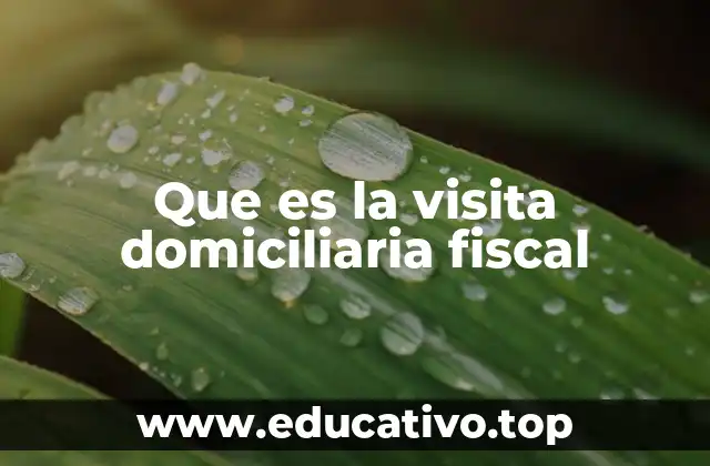 Que es la visita domiciliaria fiscal