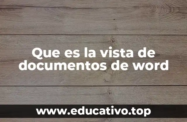 Que es la vista de documentos de word