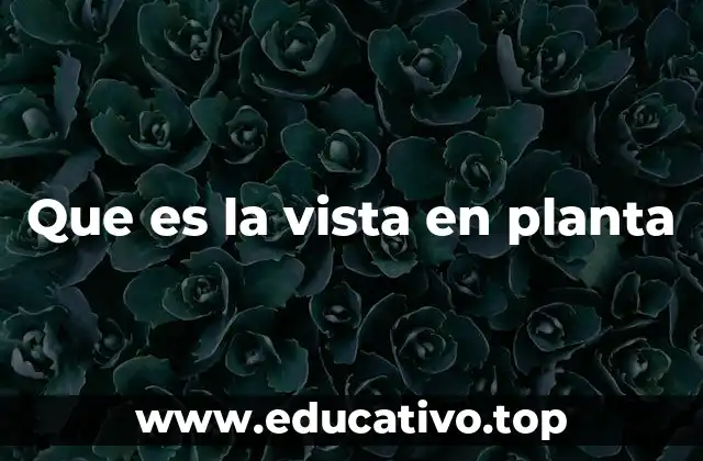 Que es la vista en planta