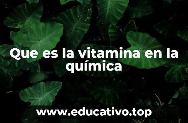 Que es la vitamina en la química
