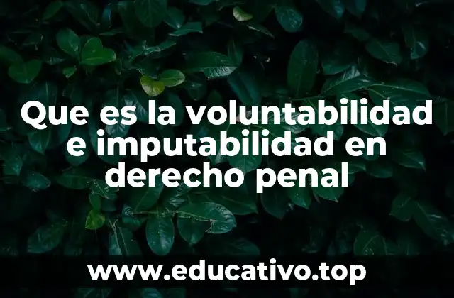 Que es la voluntabilidad e imputabilidad en derecho penal