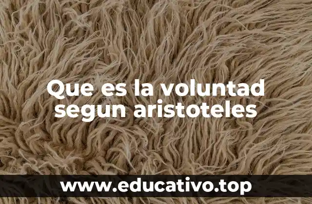 Que es la voluntad segun aristoteles