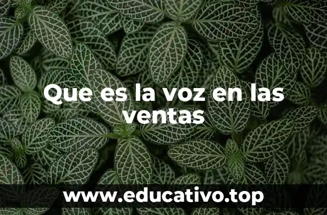 Que es la voz en las ventas