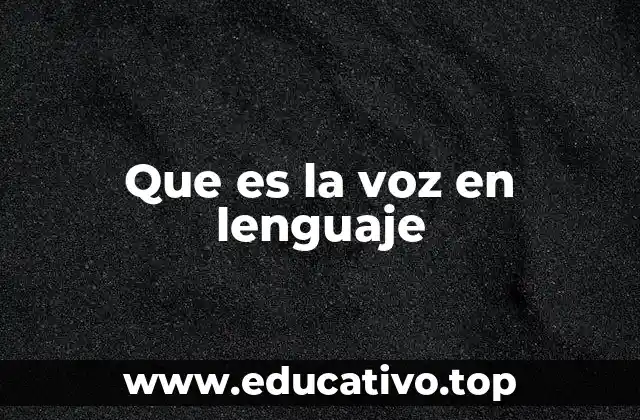 Que es la voz en lenguaje