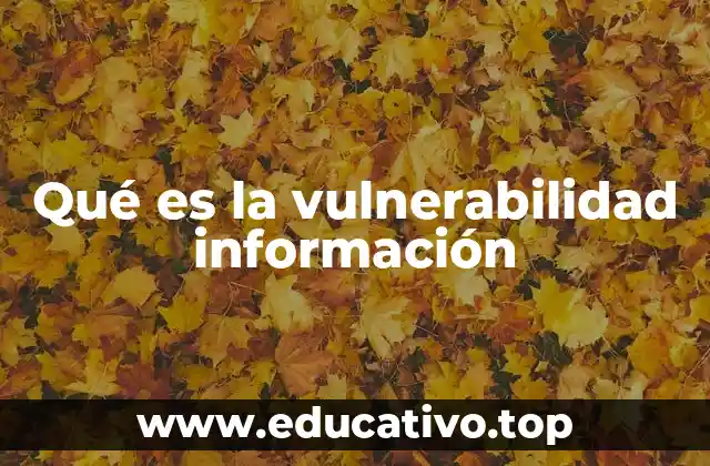 Qué es la vulnerabilidad información