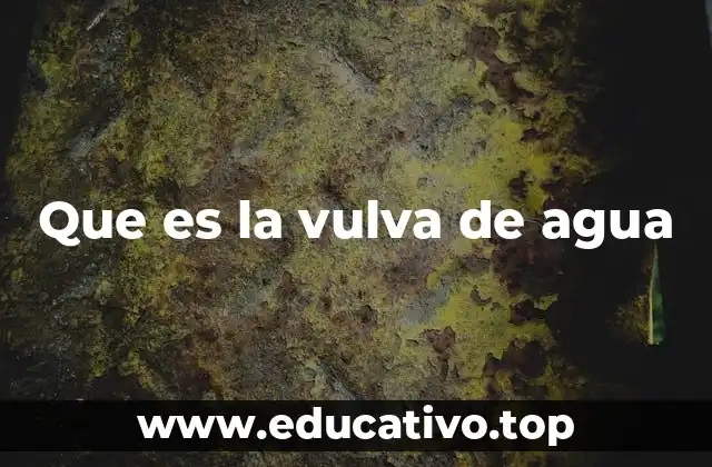 Que es la vulva de agua