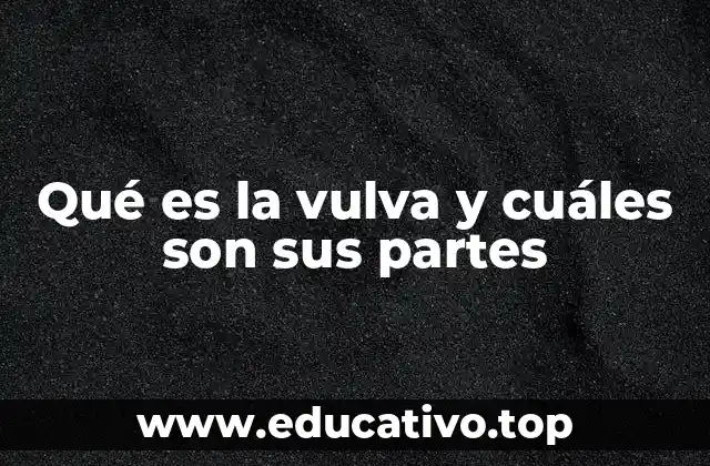 Qué es la vulva y cuáles son sus partes