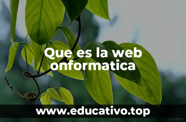 Que es la web onformatica