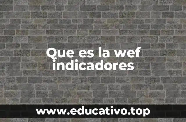 Que es la wef indicadores