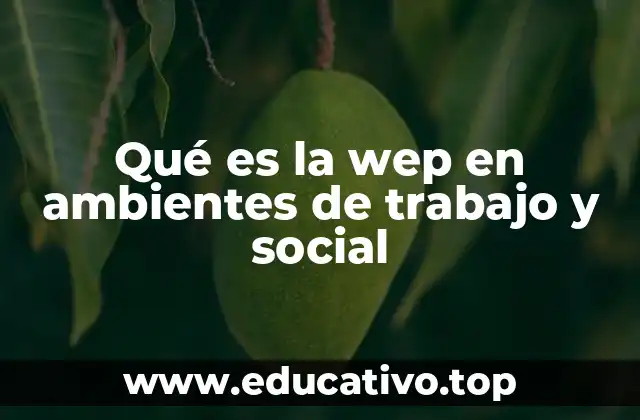 Qué es la wep en ambientes de trabajo y social